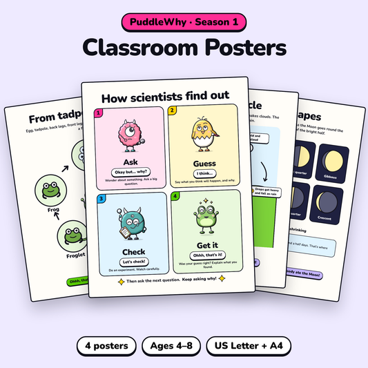 PuddleWhy Science Posters set of 4